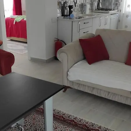 Denizli Ogretmenler Sitesi Holiday home Didim